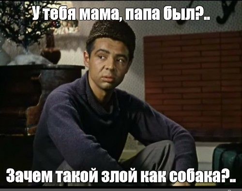 Оценка котиками