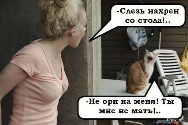 Отряд быстрого деградирования