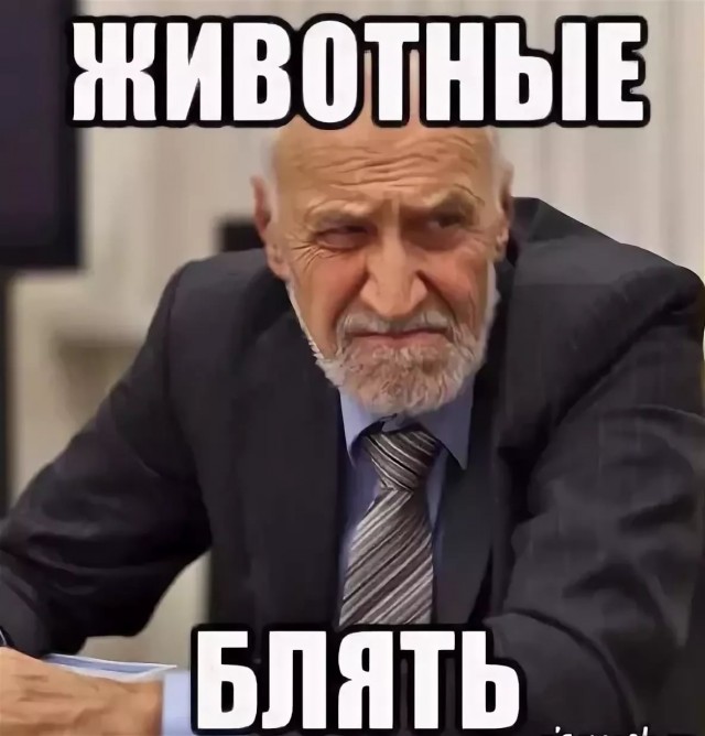Киски, обезьянки, птички и другая животинка, которую вы все так любите