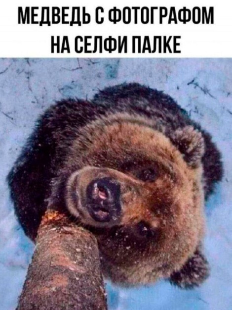 19187792.jpg