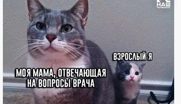 "Сидите и работайте, не ваше дело кто с кем пришёл"