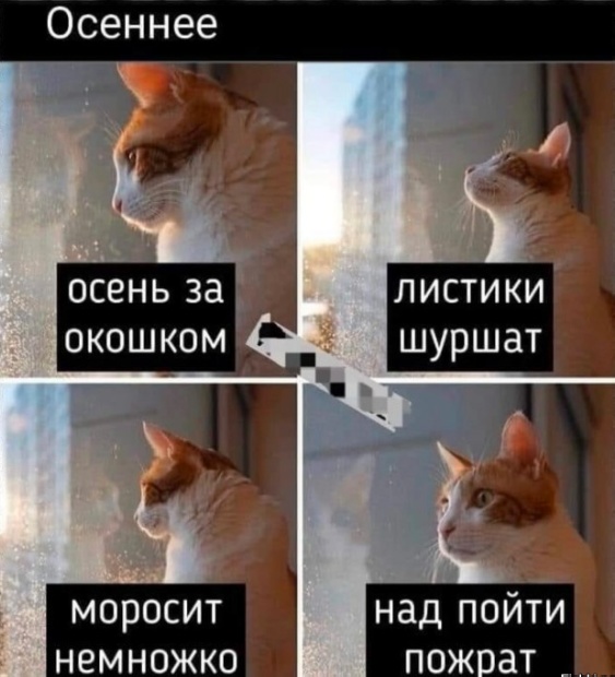 Картинки разные с надписями и без