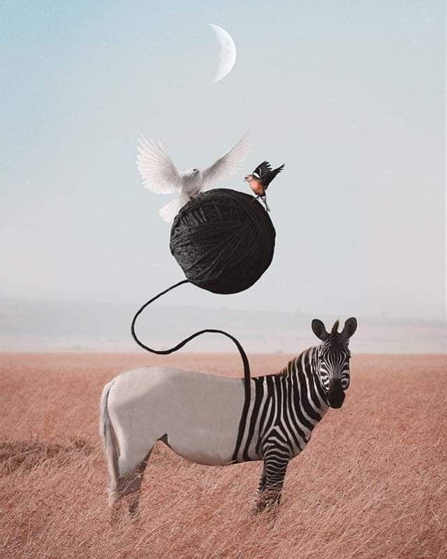 Прикольные и просто красивые картинки 24.01.2025