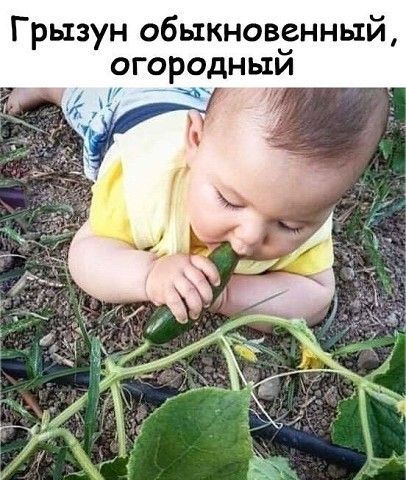 Так себе картинки 13.02.25