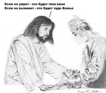 Два лысика