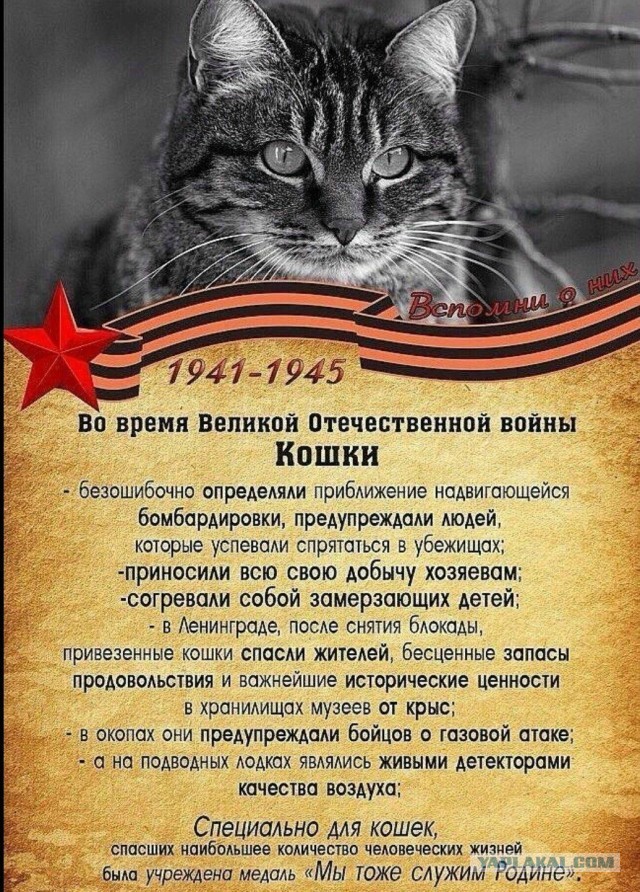 Дроны Великой Отечественной