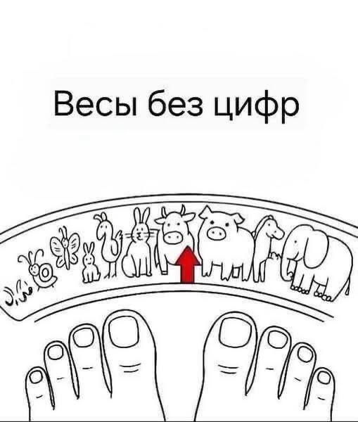Пятничные бояны