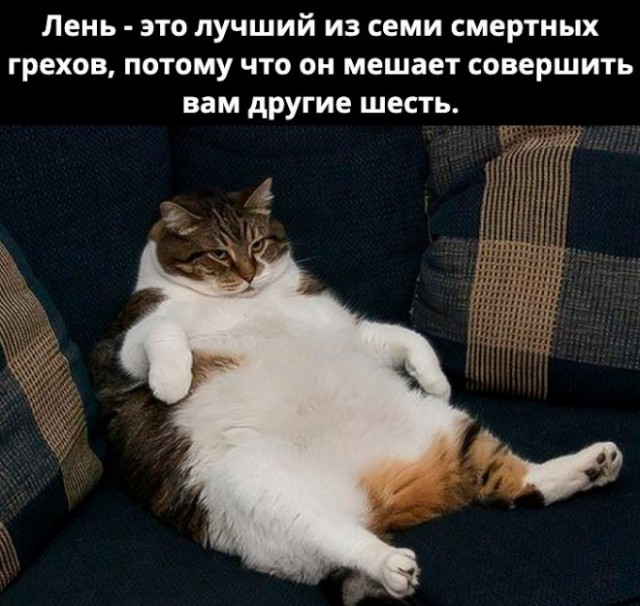 Барин