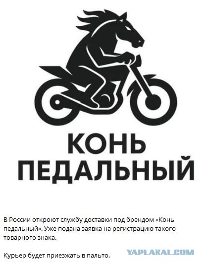 Так себе картинки 06.10.25