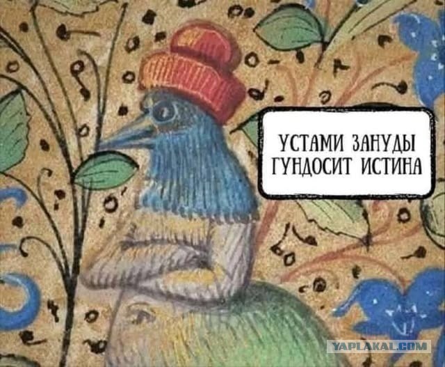 Пятницы картинки