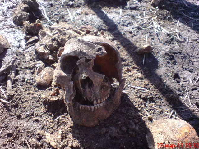 Оржицкая общественная организация Мемориал