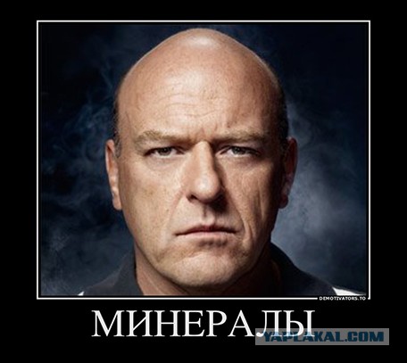 Музей шедевров природы