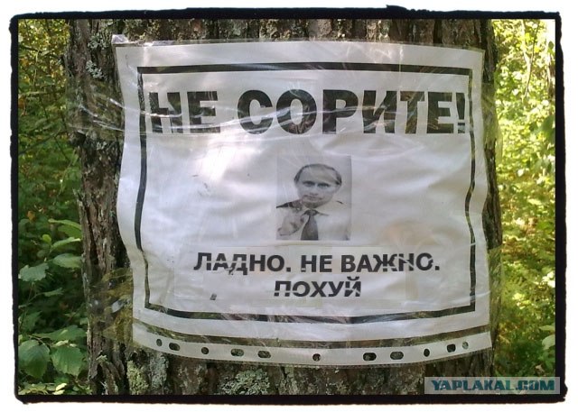 Все под контролем - проверит лично!