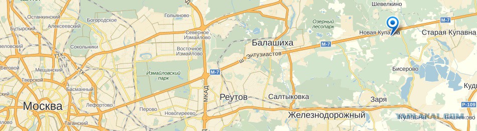 Карта купавны московской