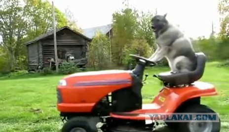 Еще один учитель...