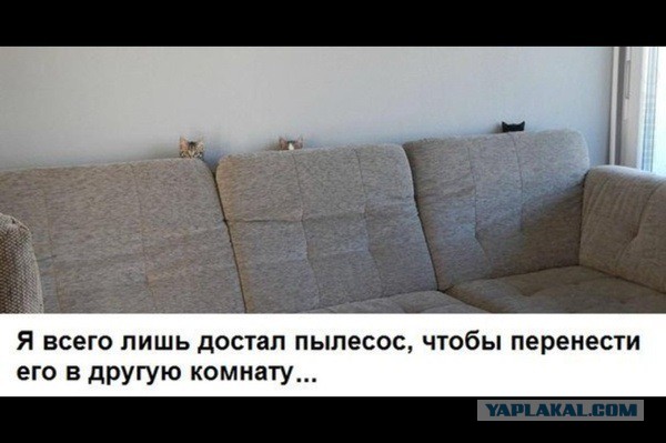 Застрявшие...
