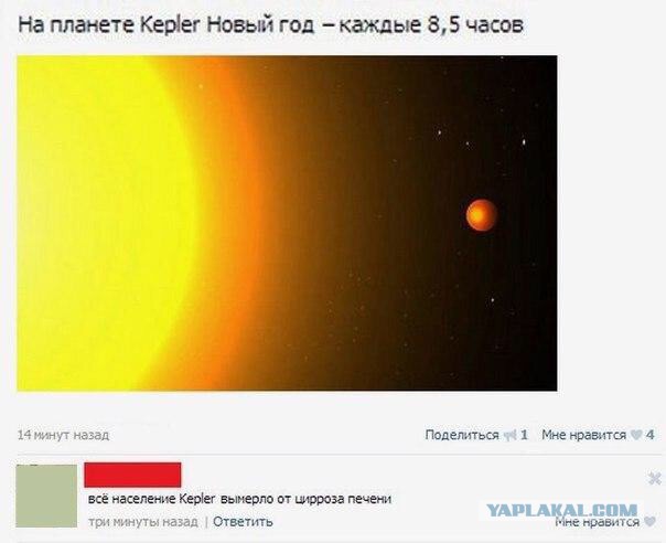 Смешные комментарии из социальных сетей 11.11.2014