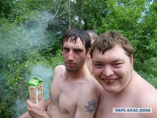 Вестник соцсетей