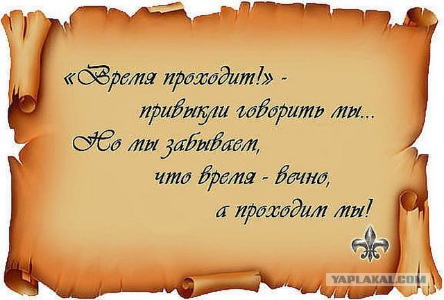 20 фактов обо всем