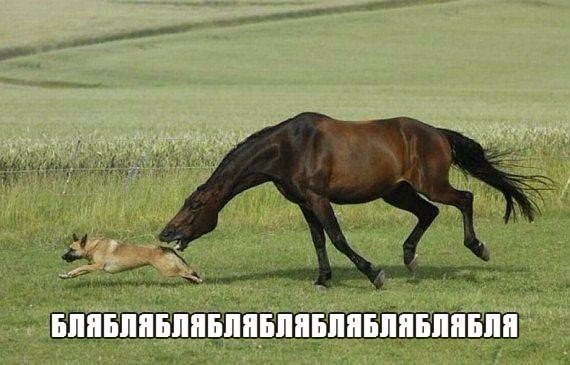 Улыбнёмся?:)