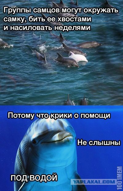 Чёрное море, 73-й км.