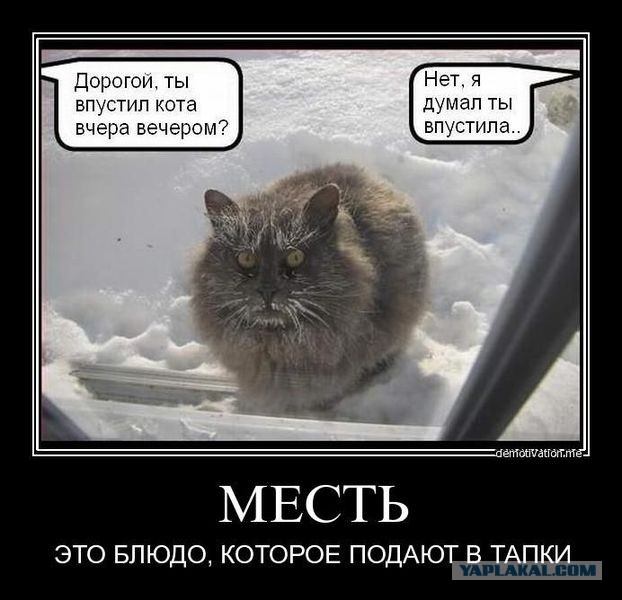 36 тысяч коту под хвост....