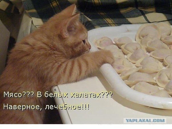 Подборка прикольных картинок из сети