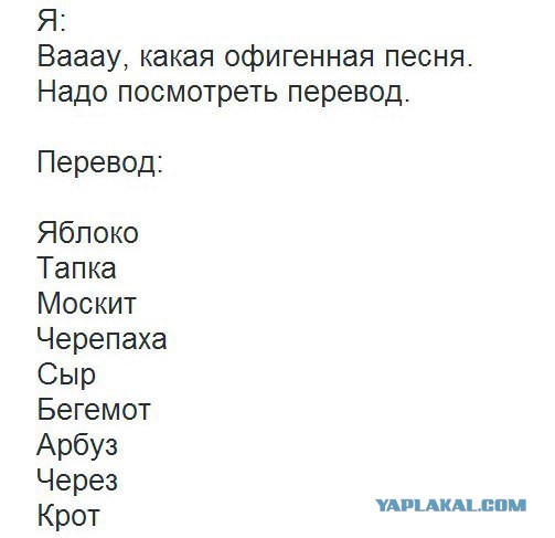 О чем на самом деле поется в «Макарене»?
