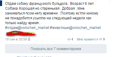 Ещё раз о собачьей преданности