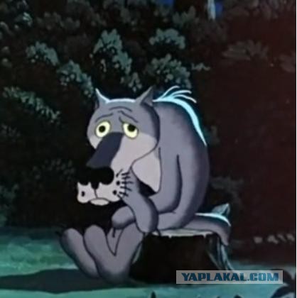 Реакция пса на вой волков