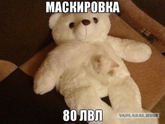 Разные картинки из сети