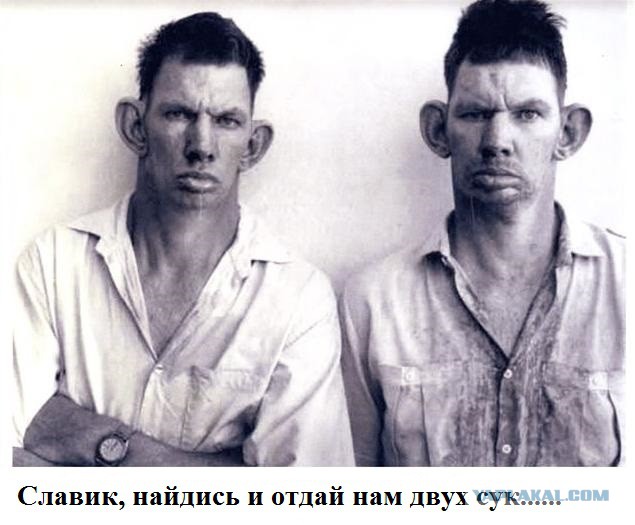 У меня грустные новости для соЯПовца. Слава Новиков тут есть?