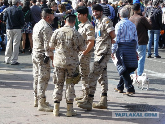 Европейские крестоносцы Гитлера под Ленинградом