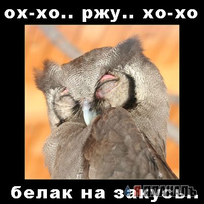 Уже да :) Ужо пятнецца...