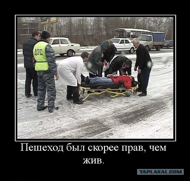 Они считали, что обязаны их пропустить... Но ошиблись!
