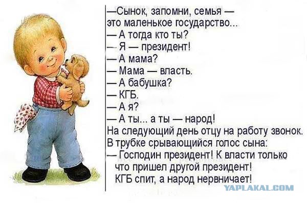 Анекдоты. Фразы