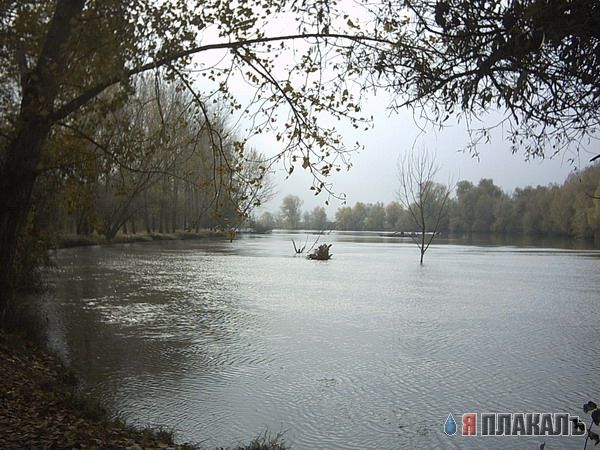 ВОДА. Моря, океаны, реки, водопады, капли, брызги