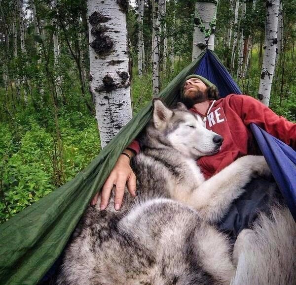 Мохнатые беспредельщики