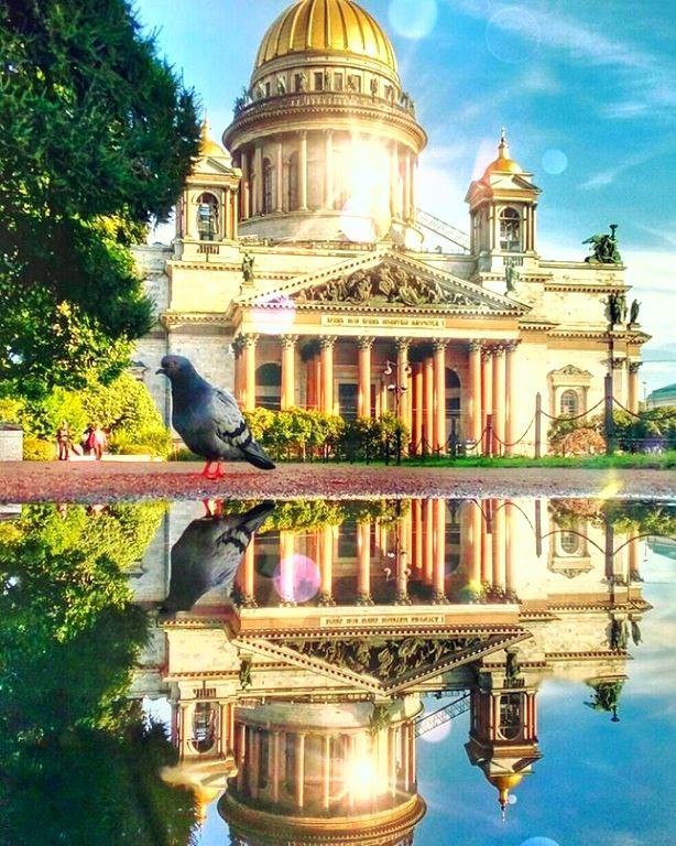 Картинки для отдыха глаз