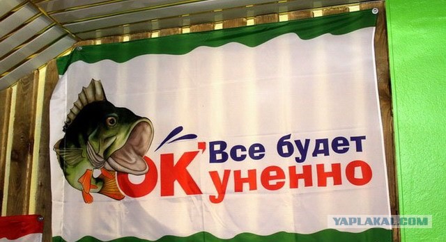 Я понятия не имею, что здесь происходит