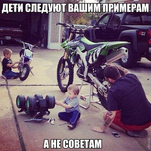 Порция картинок из сети