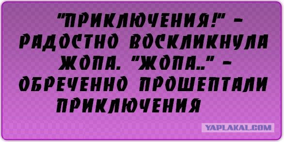 Женщины такие женщины
