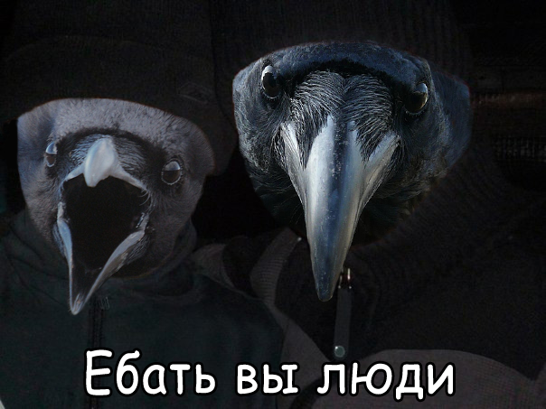 Развод на ложку от вороны