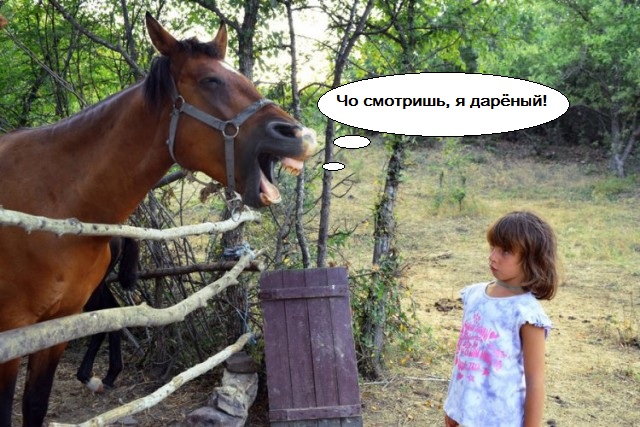 Подборка интересных и веселых картинок