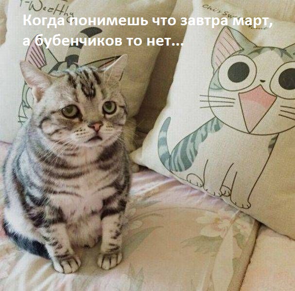 Всякое разное из сети