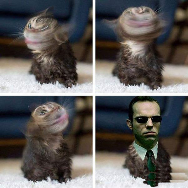 Прикольные картинки 12.06.2017