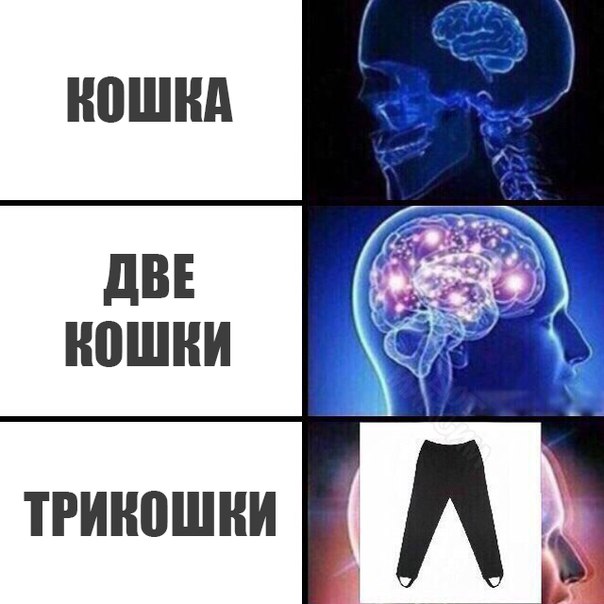 Журнал деградант