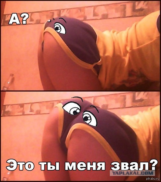 О сиськах