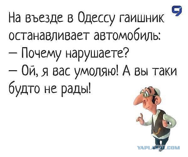 Смешные комментарии из социальных сетей 11.05.2018