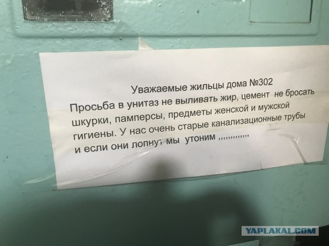 Сборная солянка из смешных картинок на субботу
